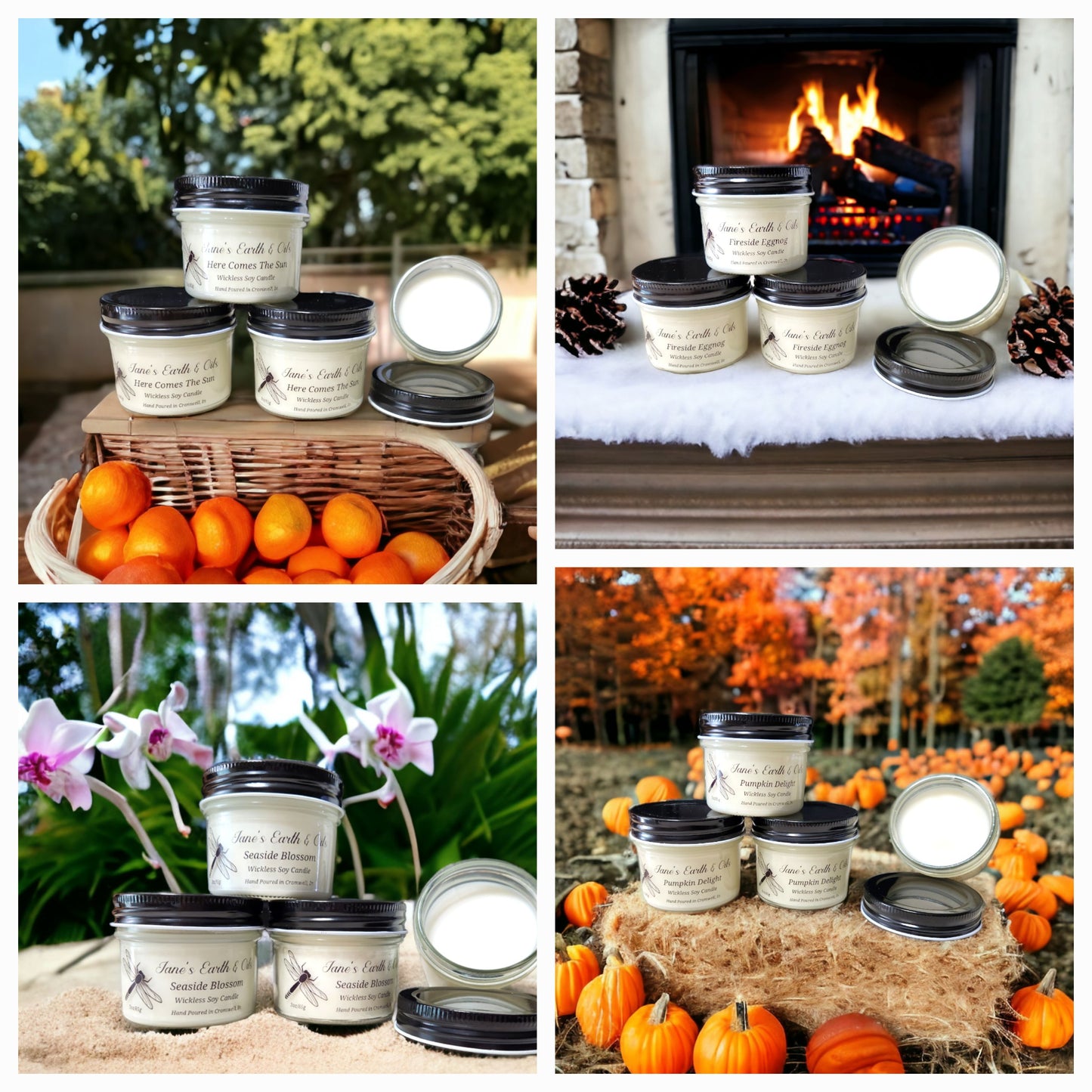 3 oz Wickless Soy Candles